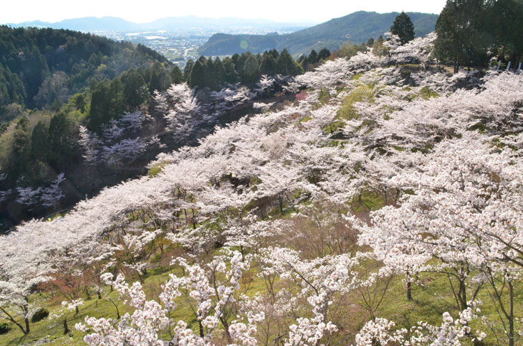 ふるさと広場