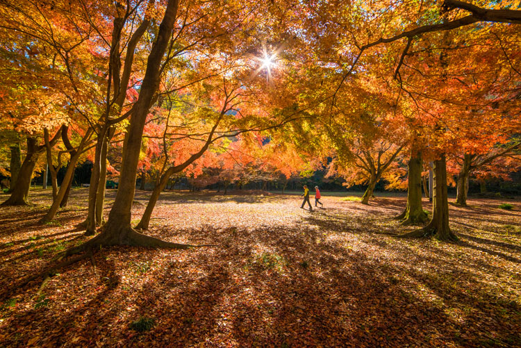 可児川下流域自然公園２