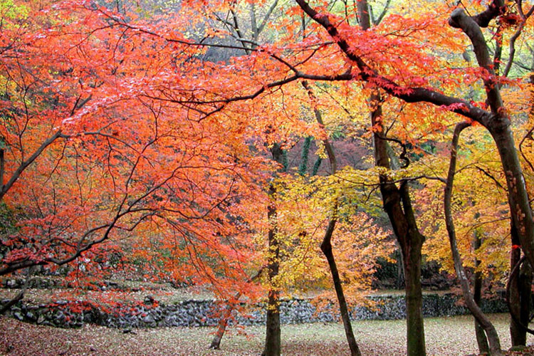 可児川下流域自然公園３