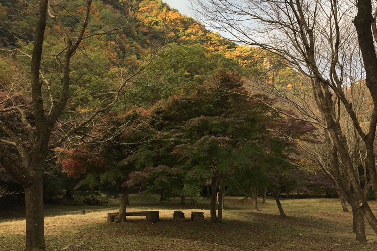 可児川下流域自然公園４