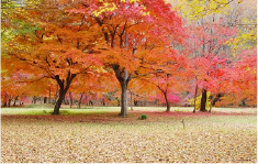 可児川下流域自然公園